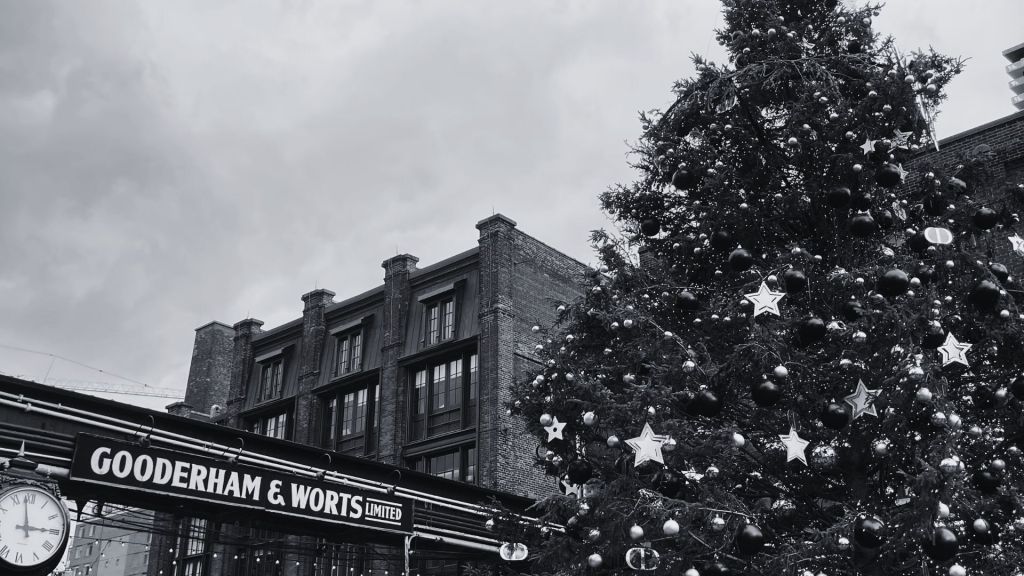 A Christmas Reflection